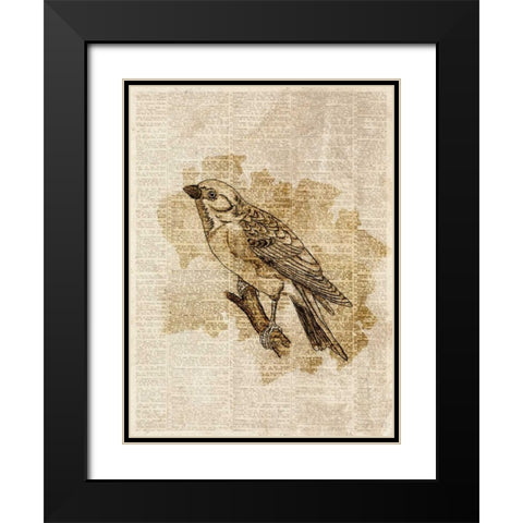 Vintage Bird I Black Modern Wood Framed Art Print with Double Matting by Studio, Sd Graphics