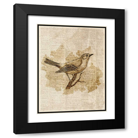 Vintage Bird II Black Modern Wood Framed Art Print with Double Matting by Studio, Sd Graphics