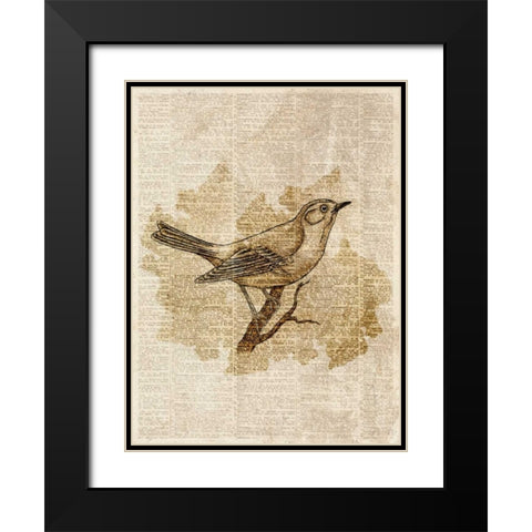 Vintage Bird II Black Modern Wood Framed Art Print with Double Matting by Studio, Sd Graphics