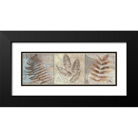 Leaves and Rosettes II Black Modern Wood Framed Art Print with Double Matting by Medley, Elizabeth