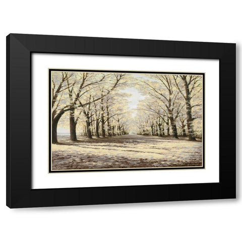 Winter Cathedral Black Modern Wood Framed Art Print with Double Matting by Nawrocke, Bruce