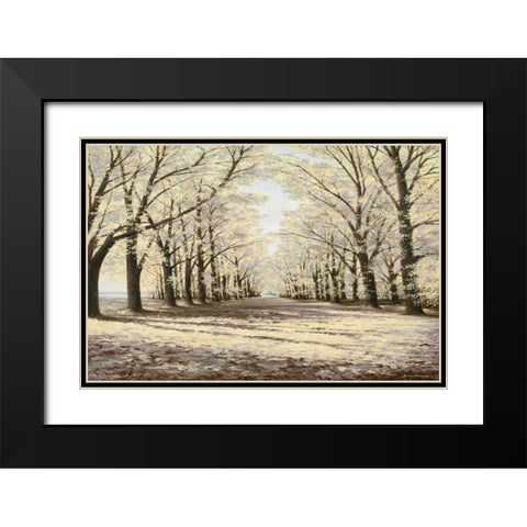 Winter Cathedral Black Modern Wood Framed Art Print with Double Matting by Nawrocke, Bruce