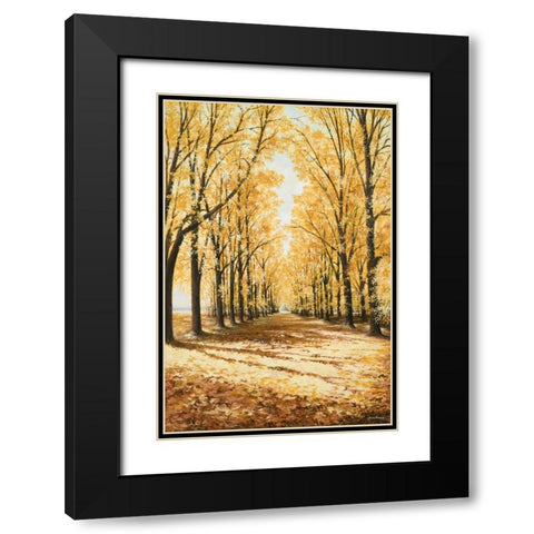 Falls Cathedral Black Modern Wood Framed Art Print with Double Matting by Nawrocke, Bruce