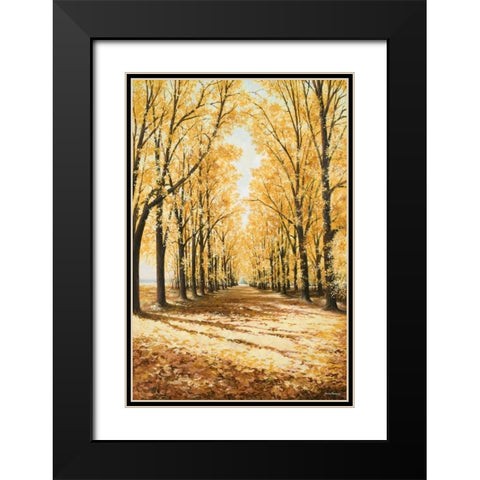 Falls Cathedral Black Modern Wood Framed Art Print with Double Matting by Nawrocke, Bruce