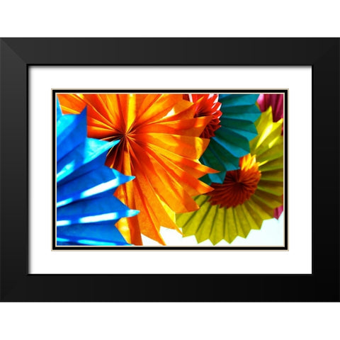 Paper Flowers Black Modern Wood Framed Art Print with Double Matting by Peck, Gail