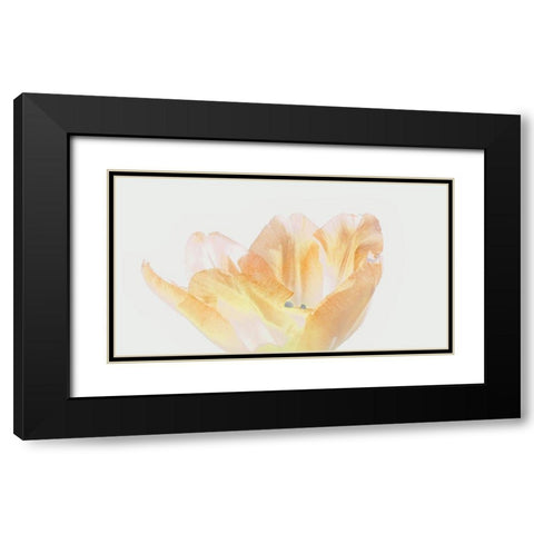 Happy Birthday Black Modern Wood Framed Art Print with Double Matting by Peck, Gail