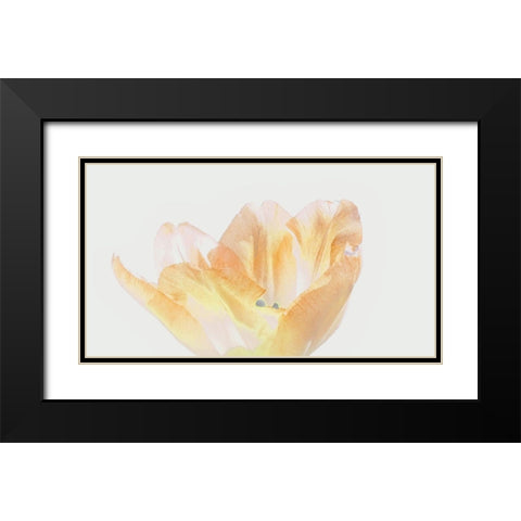 Happy Birthday Black Modern Wood Framed Art Print with Double Matting by Peck, Gail