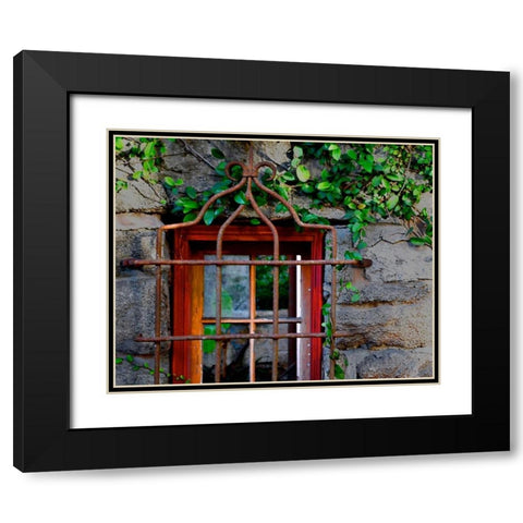 Behind Bars Black Modern Wood Framed Art Print with Double Matting by Peck, Gail
