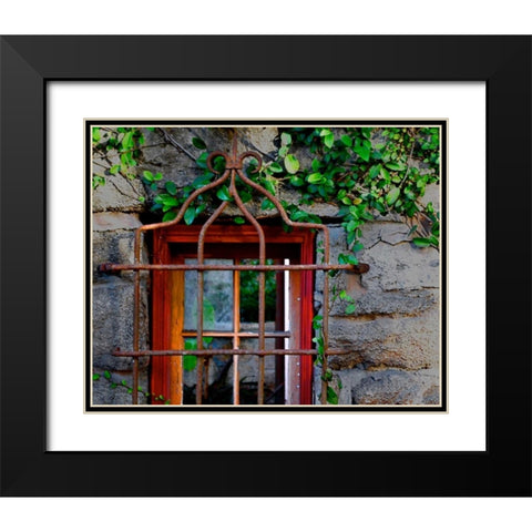 Behind Bars Black Modern Wood Framed Art Print with Double Matting by Peck, Gail