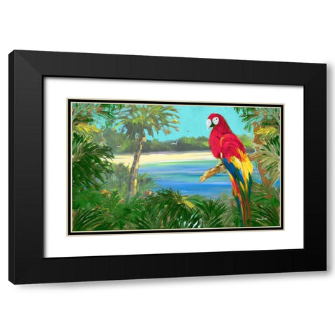 Parrot By The Ocean Black Modern Wood Framed Art Print with Double Matting by Slivka, Jane