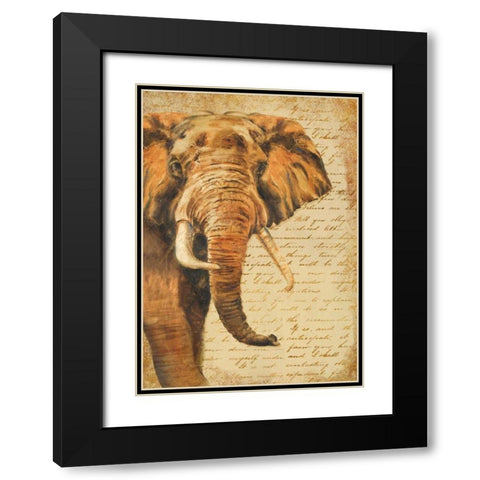 Madagascar Safari III Black Modern Wood Framed Art Print with Double Matting by Pinto, Patricia