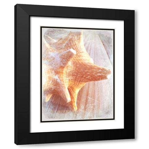 Conch II Black Modern Wood Framed Art Print with Double Matting by Saghini, Lisa Hill