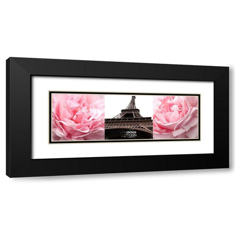 Pink Roses Eiffel Tower Black Modern Wood Framed Art Print with Double Matting by Navas, Emily