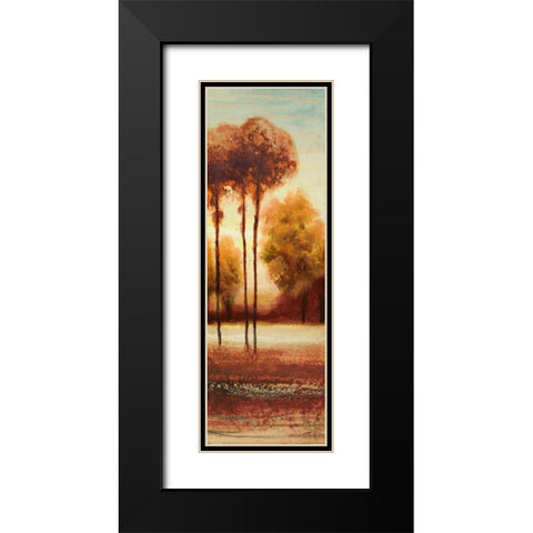 Vibrant Land II Black Modern Wood Framed Art Print with Double Matting by Marcon, Michael