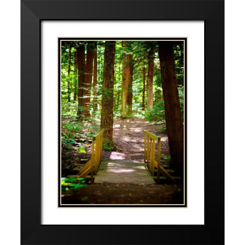 Forest Park Path Black Modern Wood Framed Art Print with Double Matting by Bryant, Susan