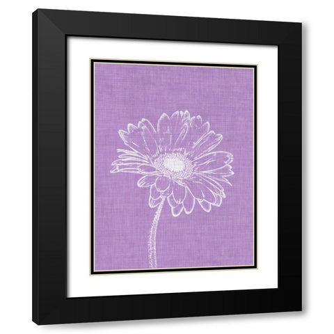 Purple Daisies I Black Modern Wood Framed Art Print with Double Matting by Peck, Gail