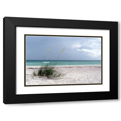 Shoreline Black Modern Wood Framed Art Print with Double Matting by Peck, Gail