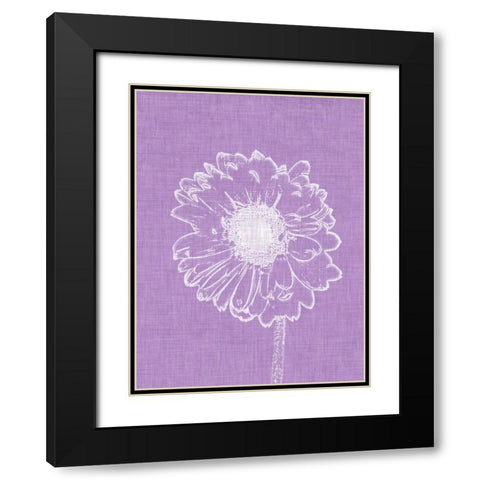 Purple Daisies II Black Modern Wood Framed Art Print with Double Matting by Peck, Gail