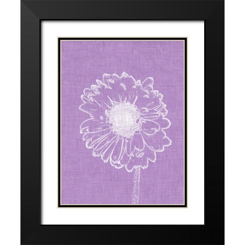Purple Daisies II Black Modern Wood Framed Art Print with Double Matting by Peck, Gail