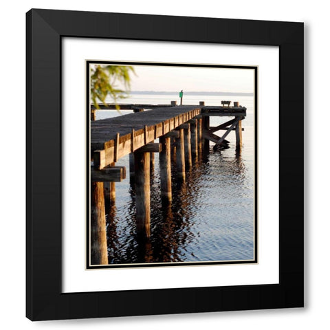 Waterside Beauty II Black Modern Wood Framed Art Print with Double Matting by Peck, Gail
