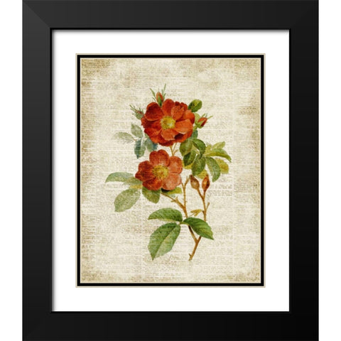 Roses on Newsprint II Black Modern Wood Framed Art Print with Double Matting by Loreth, Lanie