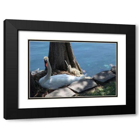 Blue Sky Beach I Black Modern Wood Framed Art Print with Double Matting by Rodriguez, Jairo