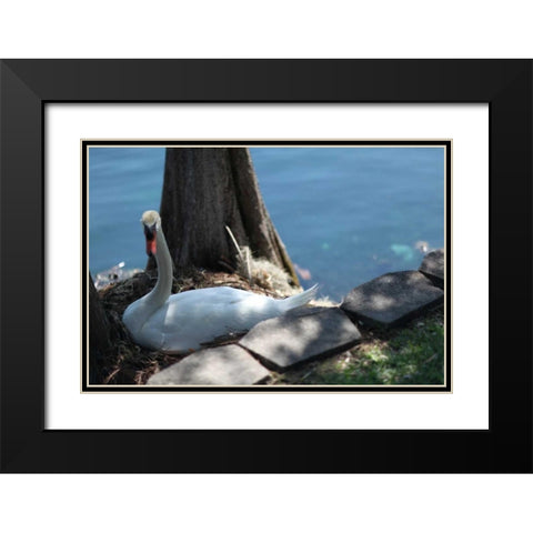 Blue Sky Beach I Black Modern Wood Framed Art Print with Double Matting by Rodriguez, Jairo