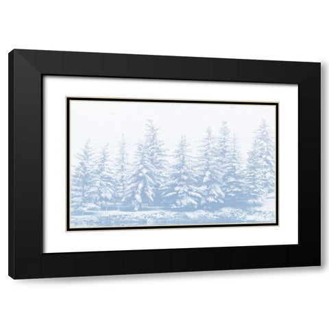 Winter Forest Black Modern Wood Framed Art Print with Double Matting by Mansfield, Kathy
