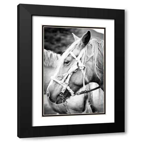 Before the Ride I Black Modern Wood Framed Art Print with Double Matting by Coppel, Anna
