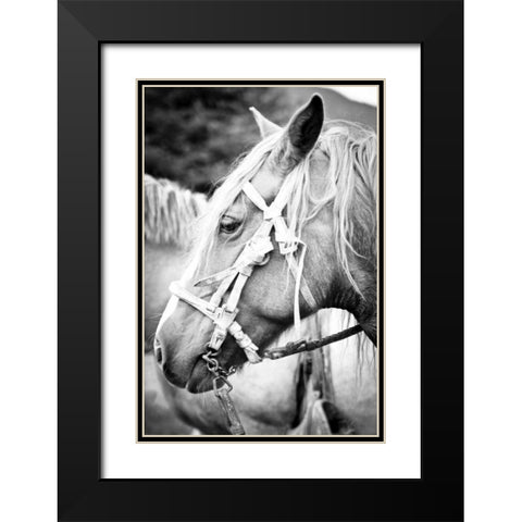 Before the Ride I Black Modern Wood Framed Art Print with Double Matting by Coppel, Anna