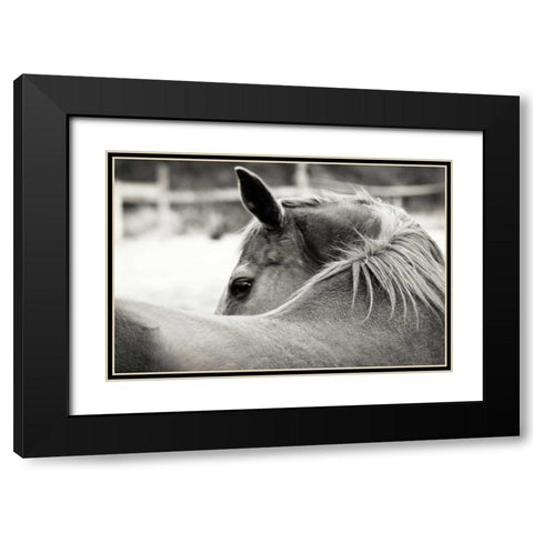 Over His Shoulder Black Modern Wood Framed Art Print with Double Matting by Peck, Gail