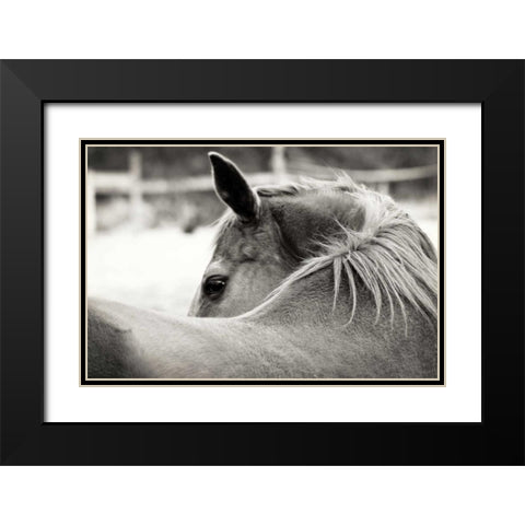Over His Shoulder Black Modern Wood Framed Art Print with Double Matting by Peck, Gail