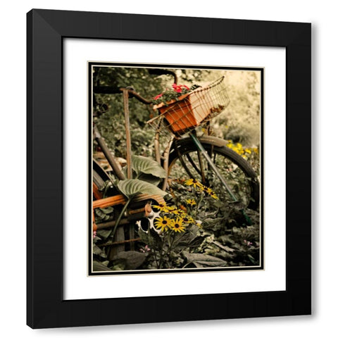 In the Fields I Black Modern Wood Framed Art Print with Double Matting by Nawrocke, Bruce