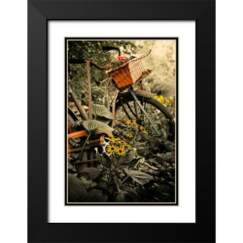 In the Fields I Black Modern Wood Framed Art Print with Double Matting by Nawrocke, Bruce