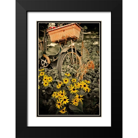 In the Fields II Black Modern Wood Framed Art Print with Double Matting by Nawrocke, Bruce