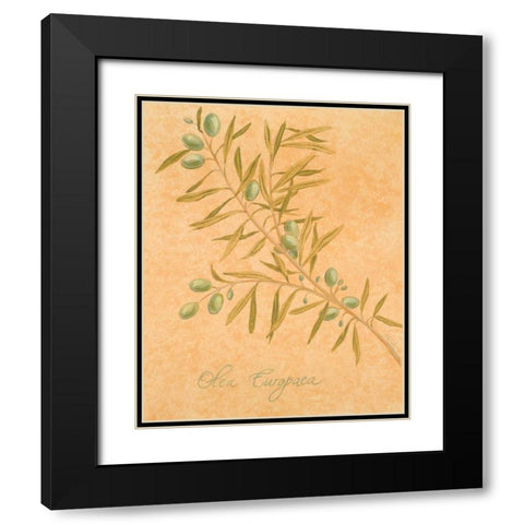 Olea Europaea Black Modern Wood Framed Art Print with Double Matting by Baliko, Linda