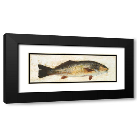 Catch of the Day I Black Modern Wood Framed Art Print with Double Matting by Johnson, Walt
