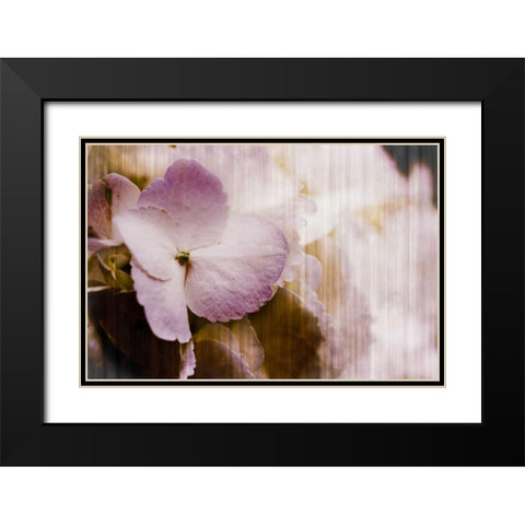 Summer Home I Black Modern Wood Framed Art Print with Double Matting by Slivka, Jane