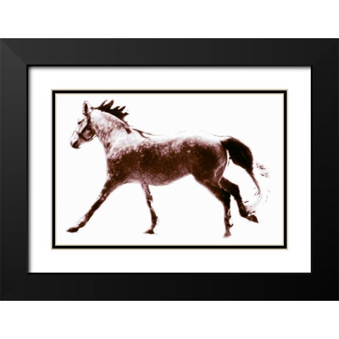 Horse 6 Black Modern Wood Framed Art Print with Double Matting by Hoffman, Kate