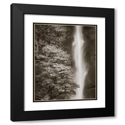 Multnomah Falls Black Modern Wood Framed Art Print with Double Matting by Audit, Lisa