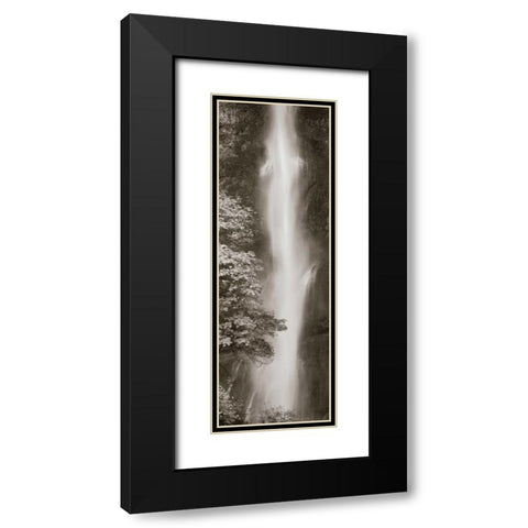 Multnomah Falls Panel Black Modern Wood Framed Art Print with Double Matting by Audit, Lisa
