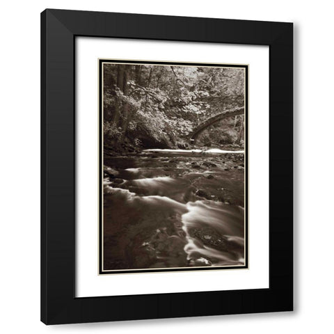 Whatcom Creek Black Modern Wood Framed Art Print with Double Matting by Audit, Lisa