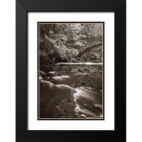 Whatcom Creek Black Modern Wood Framed Art Print with Double Matting by Audit, Lisa