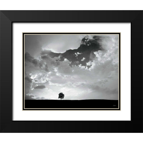 Lone Tree Black Modern Wood Framed Art Print with Double Matting by Aledanda
