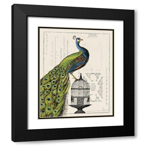 Peacock Birdcage I Black Modern Wood Framed Art Print with Double Matting by Schlabach, Sue