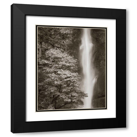 Multnomah Falls Black Modern Wood Framed Art Print with Double Matting by Audit, Lisa