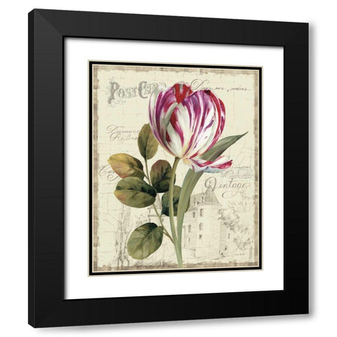 Garden View II - Tulip Black Modern Wood Framed Art Print with Double Matting by Audit, Lisa