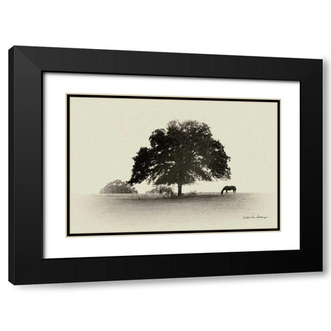 Horses and Trees I Black Modern Wood Framed Art Print with Double Matting by Van Swearingen, Debra