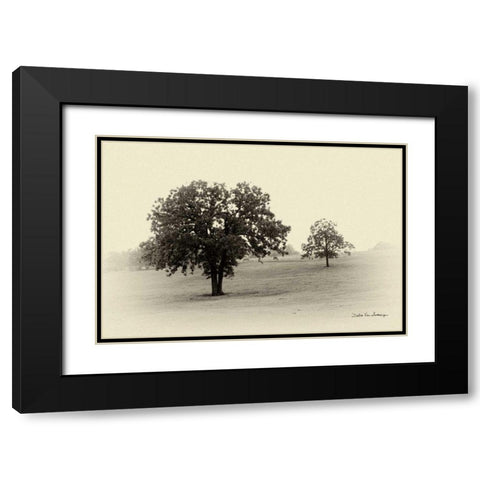 Horses and Tress II Black Modern Wood Framed Art Print with Double Matting by Van Swearingen, Debra
