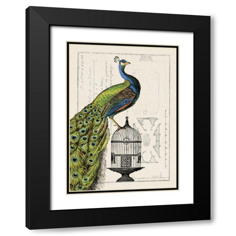 Peacock Birdcage I Black Modern Wood Framed Art Print with Double Matting by Wild Apple Portfolio
